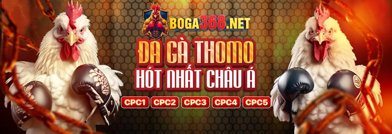 Cách 99ok link đảm bảo tuân thủ GDPR
